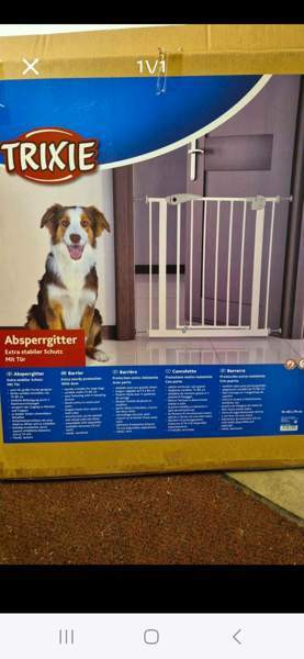 Koiraportti Iitti – foto 1