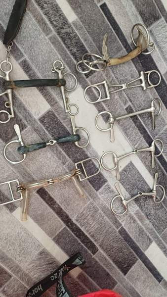 Kuolaimia Тампере - изображение 1