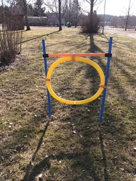 Agilityesteitä kotiin Akaa – foto 2