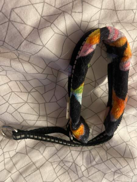 Kusse&Kutta pentupanta Vantaa - photo 3