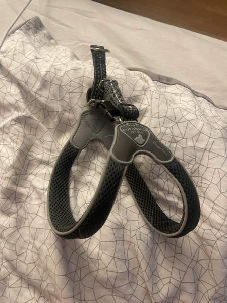 Coralpina valjaat Vantaa – foto 2