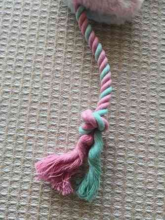 Lemmikin aktivointilelu "my moon Форсса