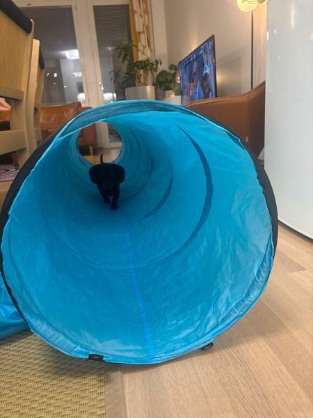 Agilitytunneli Vantaa - photo 2