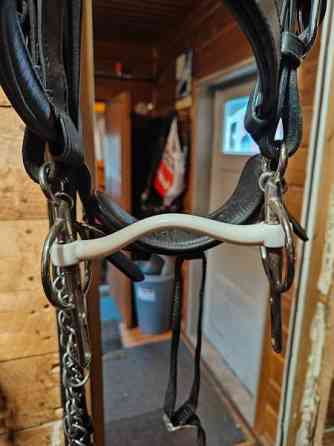 Trust Liverpool ajokuolain Raasepori