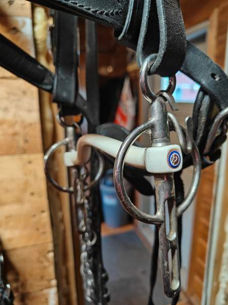 Trust Liverpool ajokuolain Raasepori – foto 2