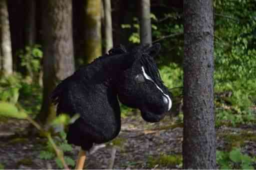 Musta keppihevonen Вантаа