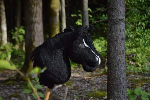 Musta keppihevonen Vantaa – foto 1