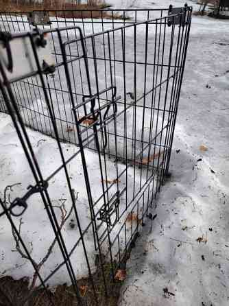 Pentuaitaus Kalajoki