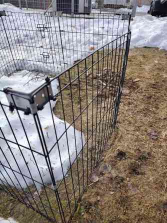 Pentuaitaus Kalajoki