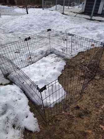 Pentuaitaus Kalajoki