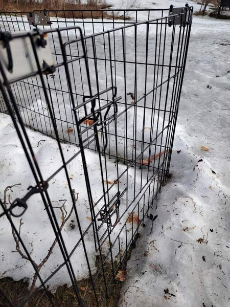 Pentuaitaus Kalajoki - photo 2