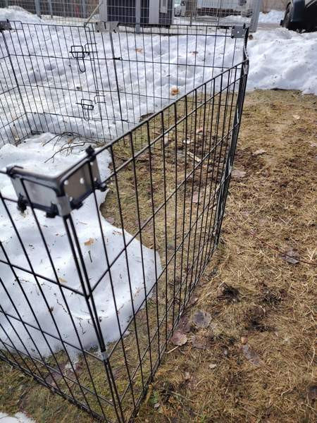 Pentuaitaus Kalajoki - photo 4