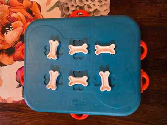 Koiran aktivointilelu Tuusula