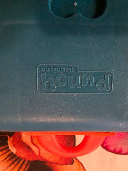 Koiran aktivointilelu Tuusula – foto 5