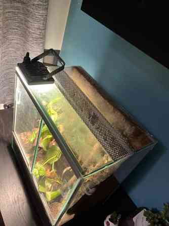 Exo terraario Kerava