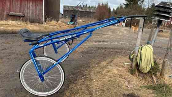 Kilpakärryt Royal Kurikka