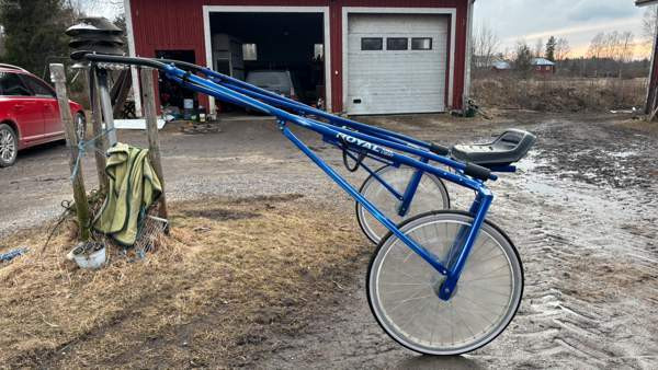 Kilpakärryt Royal Kurikka - valokuva 3