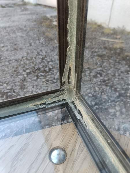 Terraario verkkokannella Tampere - photo 4