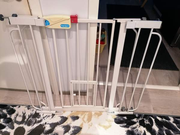 Koiraportti Oulu – foto 1