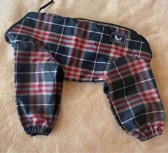 Burberry koiran sadepuku Pirkkala