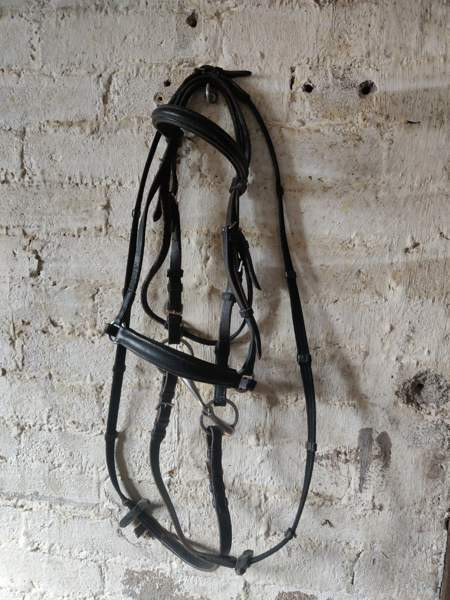 Ponin suitset kuolaimilla ja ohjilla Kouvola – foto 1