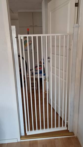 Portti koira/kissa Ювяскюля - изображение 3