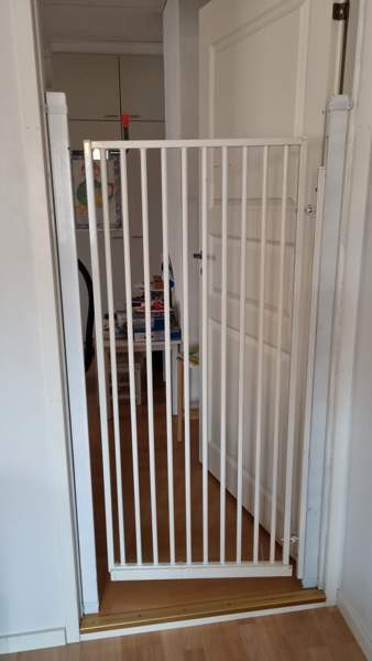 Portti koira/kissa Ювяскюля - изображение 1