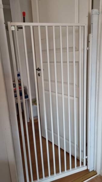 Portti koira/kissa Ювяскюля - изображение 2