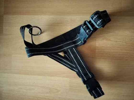 Erilaisia koiran tavaroita Hyvinge