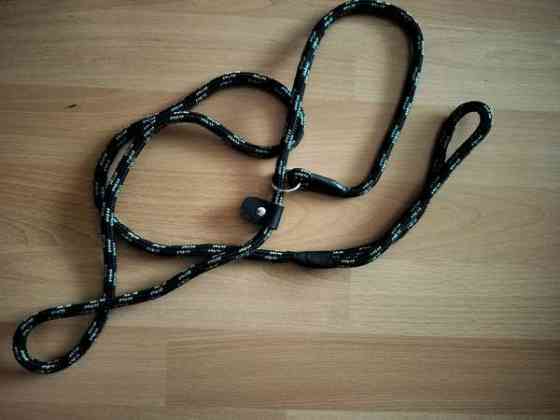 Erilaisia koiran tavaroita Hyvinge