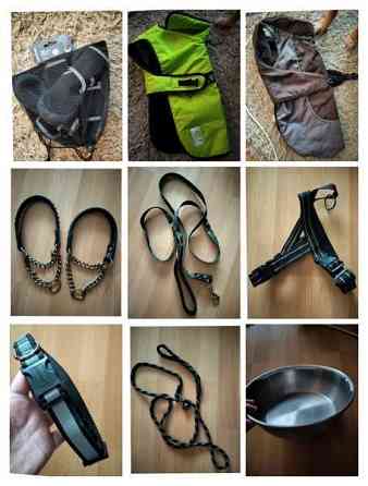 Erilaisia koiran tavaroita Hyvinge