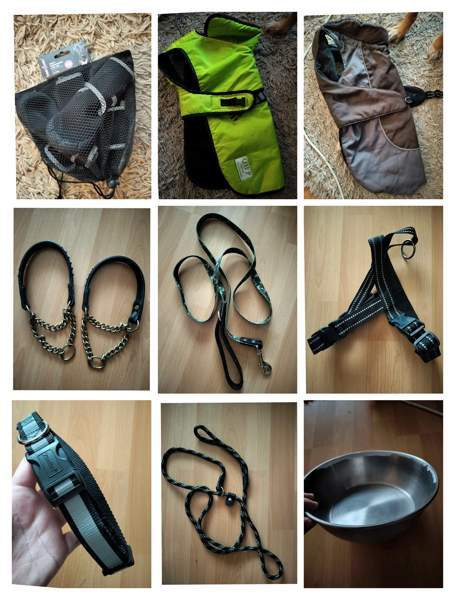 Erilaisia koiran tavaroita Хювинкяя - изображение 1