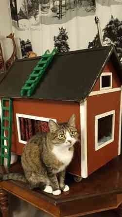 Kissan peti/mökki Helsinki