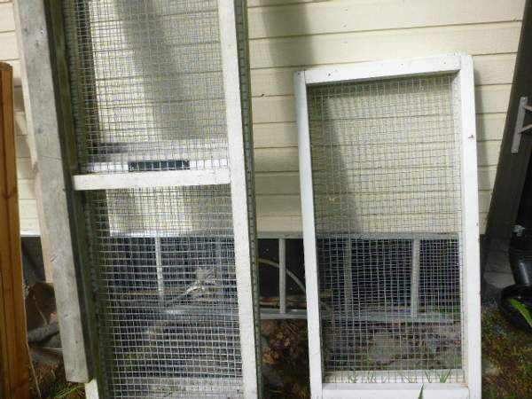 kissa aitaus Nokia – foto 1