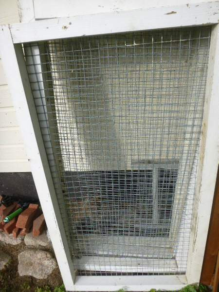 kissa aitaus Nokia – foto 2