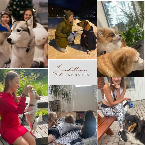 Koiranhoito Helsingissä Helsinki - valokuva 1