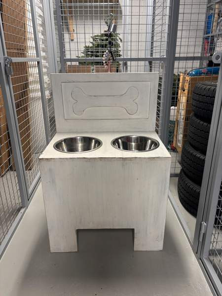 Koiran korotettu ruokakuppi Tampere - valokuva 1