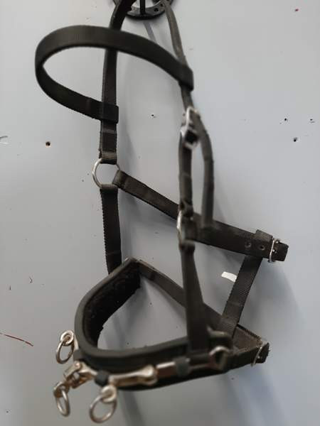 Juoksutuskapsoni Nurmijaervi – foto 1