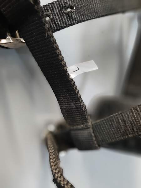 Juoksutuskapsoni Nurmijaervi – foto 4