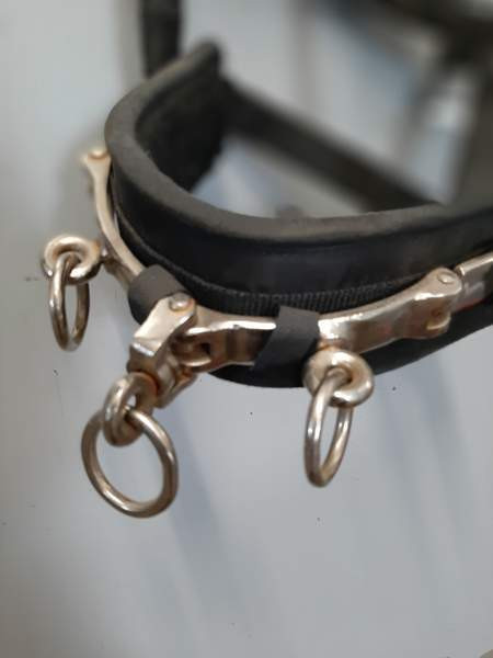 Juoksutuskapsoni Nurmijaervi – foto 3