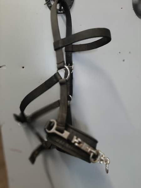 Juoksutuskapsoni Nurmijaervi – foto 2