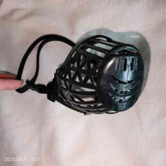 Koiran kuonokoppa koko 3 Helsinki