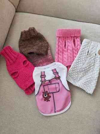 Pienen koiran vaatteita Jyvaeskylae