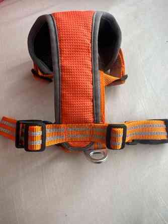 pienen koiran valjaat Форсса