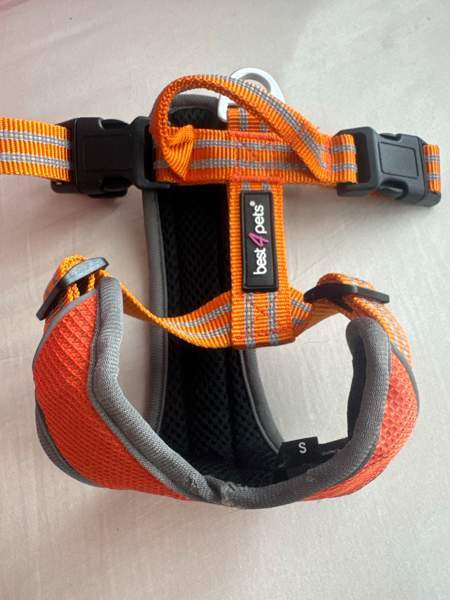 pienen koiran valjaat Forssa – foto 3