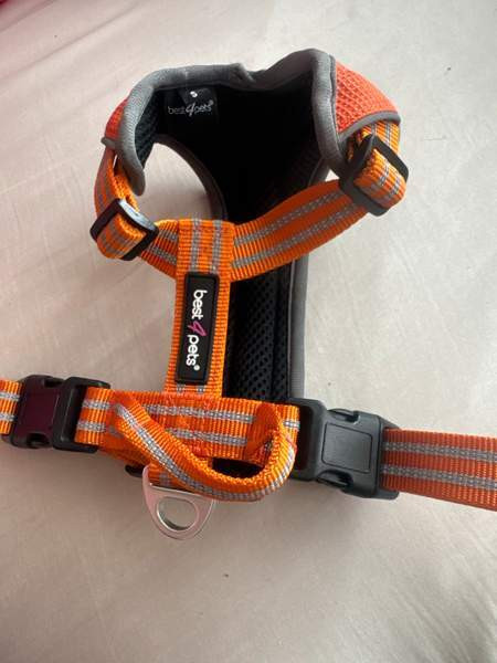 pienen koiran valjaat Forssa – foto 1