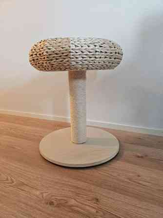 Kissan raapimispuu Helsinki