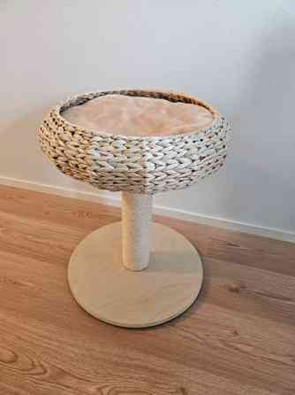 Kissan raapimispuu Helsinki