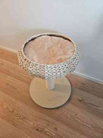 Kissan raapimispuu Helsinki