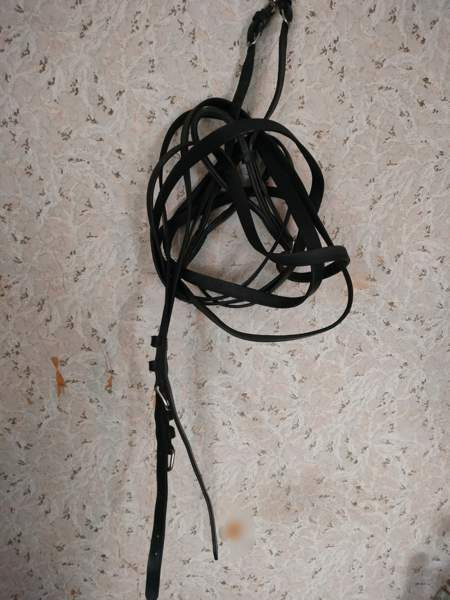 Ponin ajo-ohjat Kemiönsaari - изображение 2